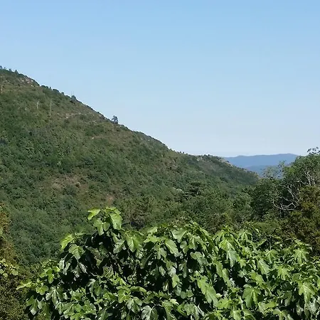 Casa Di L'apa Apartmán Venaco (Corsica)